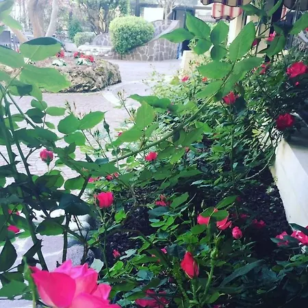 Venice Palace 4* Mirano