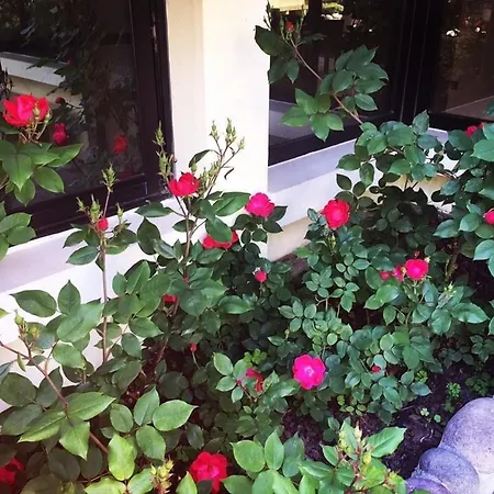 Hotel Venice Palace Mirano