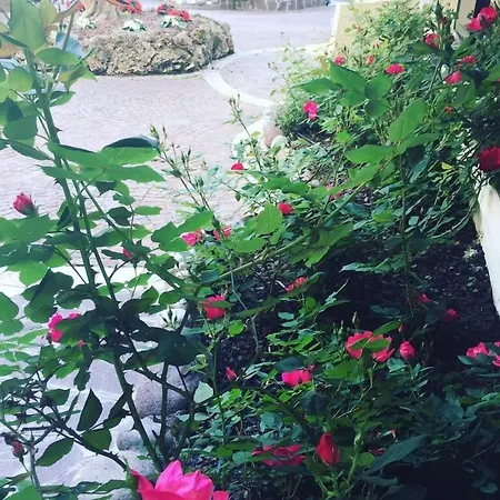 Venice Palace Hotel Mirano