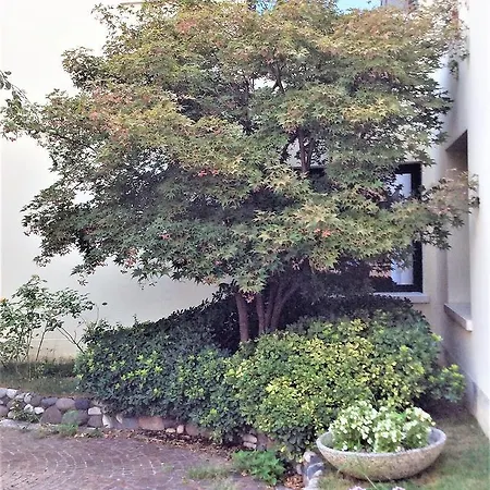 Venice Palace Hotel 4*