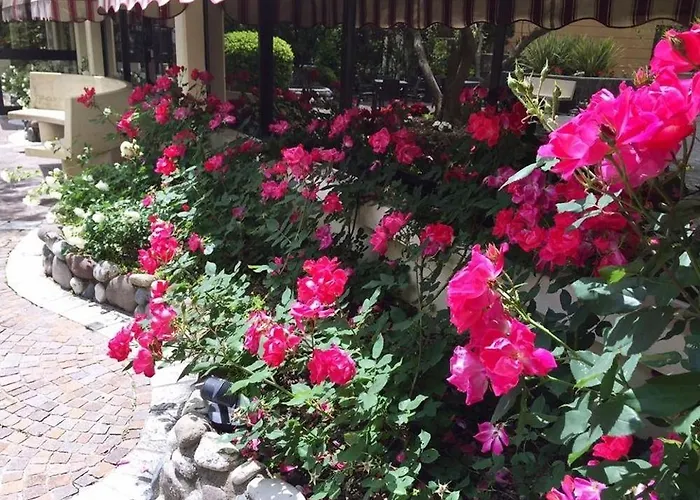 Venice Palace Hotell Mirano