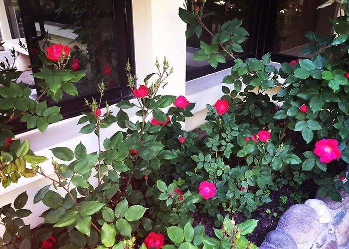 Venice Palace Ξενοδοχείο 4*