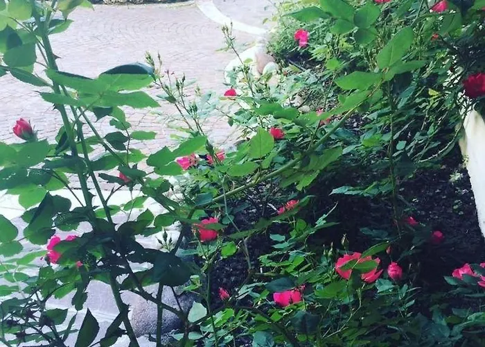 Venice Palace Ξενοδοχείο