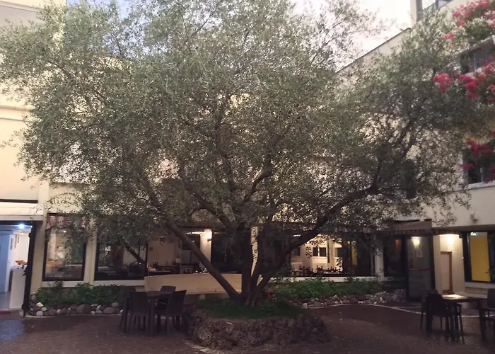 Venice Palace Mirano