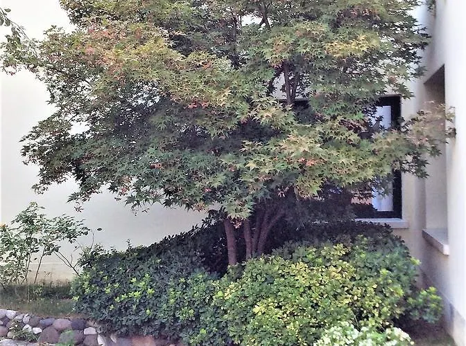 Venice Palace Hotell 4*