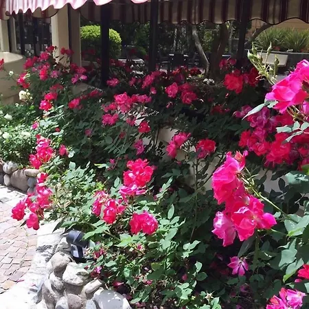 Venice Palace 4*