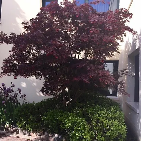 Hotel Venice Palace 4*