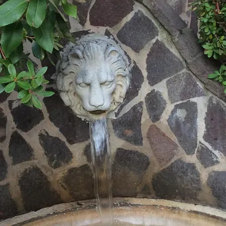 Venice Palace Mirano