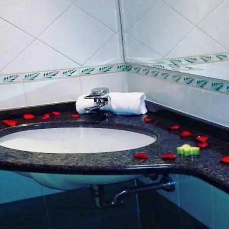 Venice Palace فندق